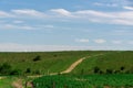 Rural landscape in the pampa biome and soybean production crop