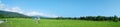 Rural landscape panorama with green rice fields Royalty Free Stock Photo