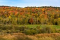 Rural landscape with a pasture at the foot of a wooded hill at the peak of fall foliage