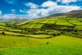 Rural Landscape With Pastures In Ireland Royalty Free Stock Photo