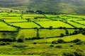 Rural Landscape With Pastures In Ireland Royalty Free Stock Photo