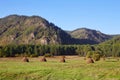 Rural landscape. Picturesque mountains, forest. Haystacks on an agricultural field in summer or early autumn. Royalty Free Stock Photo