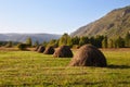 Rural landscape. Picturesque mountains, forest. Haystacks on an agricultural field in summer or early autumn. Royalty Free Stock Photo