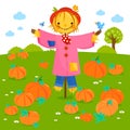 A scarecrow at the farm in a pumpkin field. Vector illustration