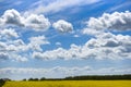 Rural landscape, rape field on a background of blue sky Royalty Free Stock Photo