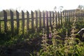 Rural landscape. The rays of evening sun pass through wooden fen