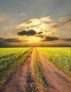 Rural landscape with a road