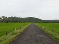 rural landscape with road, Indian road side view in goa, monsoon season road side plans.