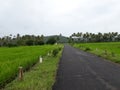 rural landscape with road, Indian road side view in goa, monsoon season road side plans.