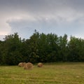 Rural landscape with rolls of hay, meadow and roll bales during overcast summer day