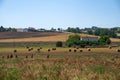 Rural landscape in Sannio, Benevento province, Italy Royalty Free Stock Photo