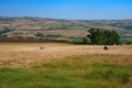 Rural landscape in Sannio, Benevento province, Italy