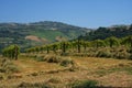 Rural landscape in Sannio, Benevento province, Italy Royalty Free Stock Photo