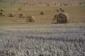 Rural landscape scene. Open spaces. Harvested field and stubble. Bales of collected straw. Royalty Free Stock Photo