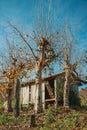 Rural landscape with a shabby shack next to trees Royalty Free Stock Photo