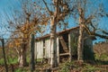 Rural landscape with a shabby shack next to trees