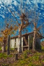 Rural landscape with a shabby shack next to trees Royalty Free Stock Photo