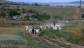 Rural landscape of a shepherd with a herd of goats. A shepherd leads a herd of goats along a path in the steppe zone Royalty Free Stock Photo