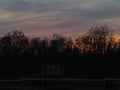 Rural landscape. Silhouettes of trees against the backdrop of a colorful sunset