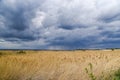 Rural landscape, sky with clouds just before the storm over the sunny meadow Royalty Free Stock Photo