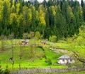 Rural landscape at spring north of lake Bicaz in Maramures Romania.