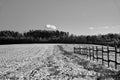 Rural landscape with snow-covered field, wooden fence and forest during winter Royalty Free Stock Photo