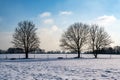 Agrarian landscape with snow-covered peddock and bare trees in winter.