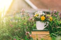 Rural landscape a stack of old books with a glass of flowers on a background of flowering grass and a rustic house Royalty Free Stock Photo