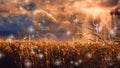 Storm over field