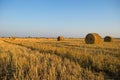 Rural landscape with straw rolls. autumn landscape Royalty Free Stock Photo