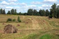 Rural landscape with summer field with many rolled dry hay on bright sunny day