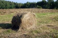 Rural landscape with summer field with rolled haystack close-up on front and mowed field on the back on sunny day Royalty Free Stock Photo