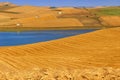 RURAL LANDSCAPE SUMMER. Lake Basentello,Poggiorsini (ITALY). Royalty Free Stock Photo