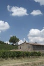 Rural landscape in Romagna Italy