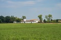 Rural landscape near Busseto, Italy