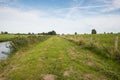 Rural landscape in the summer season Royalty Free Stock Photo