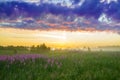 Rural landscape with the sunrise, a blossoming meadow and fog Royalty Free Stock Photo