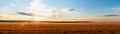 Rural landscape sunset over wheat field banner panoramic Royalty Free Stock Photo