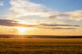 Rural landscape sunset over wheat field and sky with clouds Royalty Free Stock Photo