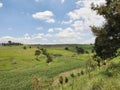 rural landscape in Temoaya fields in summer season