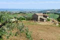 Rural landscape to the coast at San Benedetto del Tronto