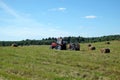 Rural landscape with tractor working in the long field with many rolled dry hay at the edge of the forest on summer day Royalty Free Stock Photo