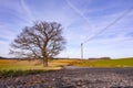 Rural view of a tree a road a power pole and a wind turbine in the background Royalty Free Stock Photo