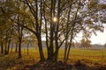 Rural Landscape with trees and meadows Royalty Free Stock Photo