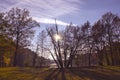 Rural Landscape with trees and meadows Royalty Free Stock Photo