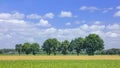 Rural landscape with trees on a summer day with a blue sky, Ravels, Belgium