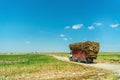 Rural landscape with a truck loaded with straw packs Royalty Free Stock Photo