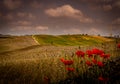 Rural landscape in Tuscany Italy Royalty Free Stock Photo