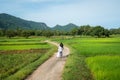 Rural landscape in Vietnam countryside with Vietnamese women wearing traditional dress Ao Dai cycling on the road Royalty Free Stock Photo