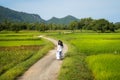 Rural landscape in Vietnam countryside with Vietnamese women wearing traditional dress Ao Dai cycling on the road Royalty Free Stock Photo